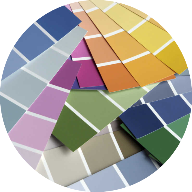 On-Site Color Consultant