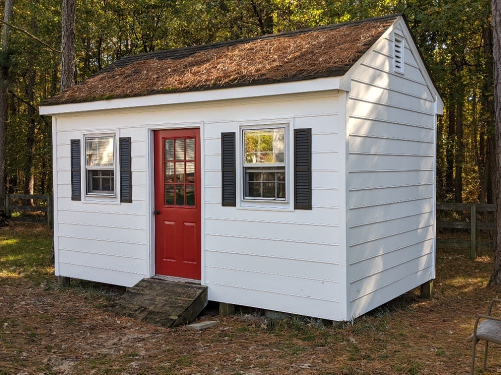 Backyard Shed- Siding Replacement- Full Repaint