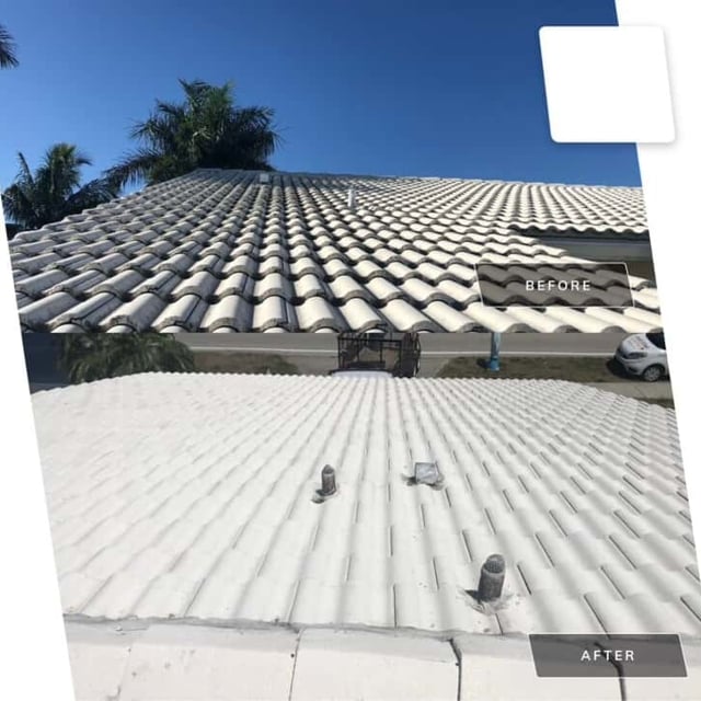 Before and After Roof Painting