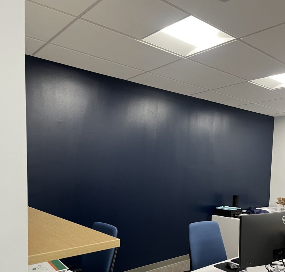 dark blue accent wall in commercial workspace