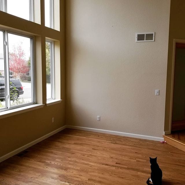 Freshly painted neutral interior, kitty approved. #benjaminmoore