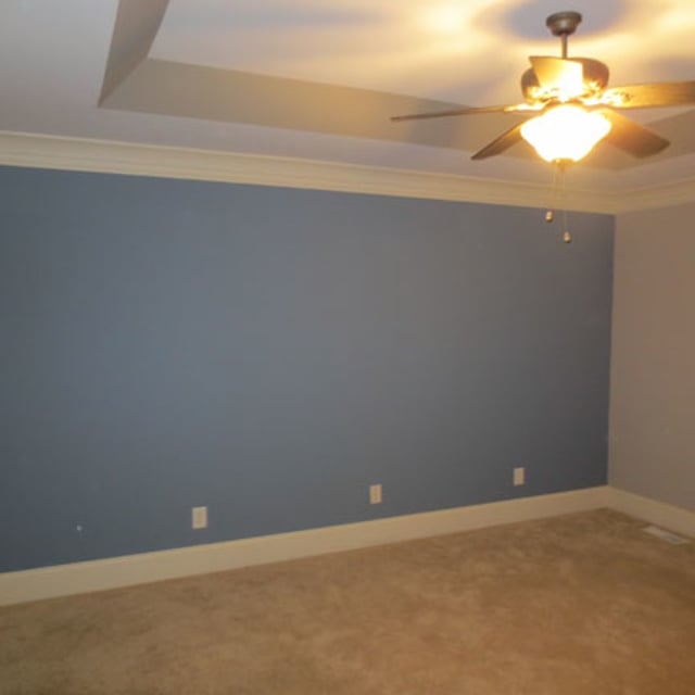 blue accent wall, color consultation, color experts, master bedroom painting, Jamestown