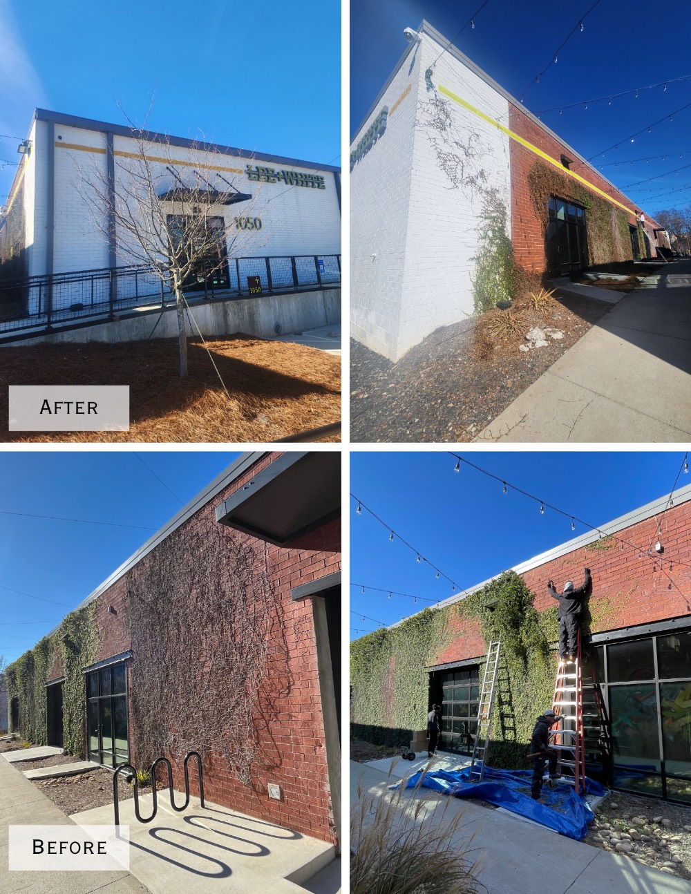 Commercial repaint/remodel before and after