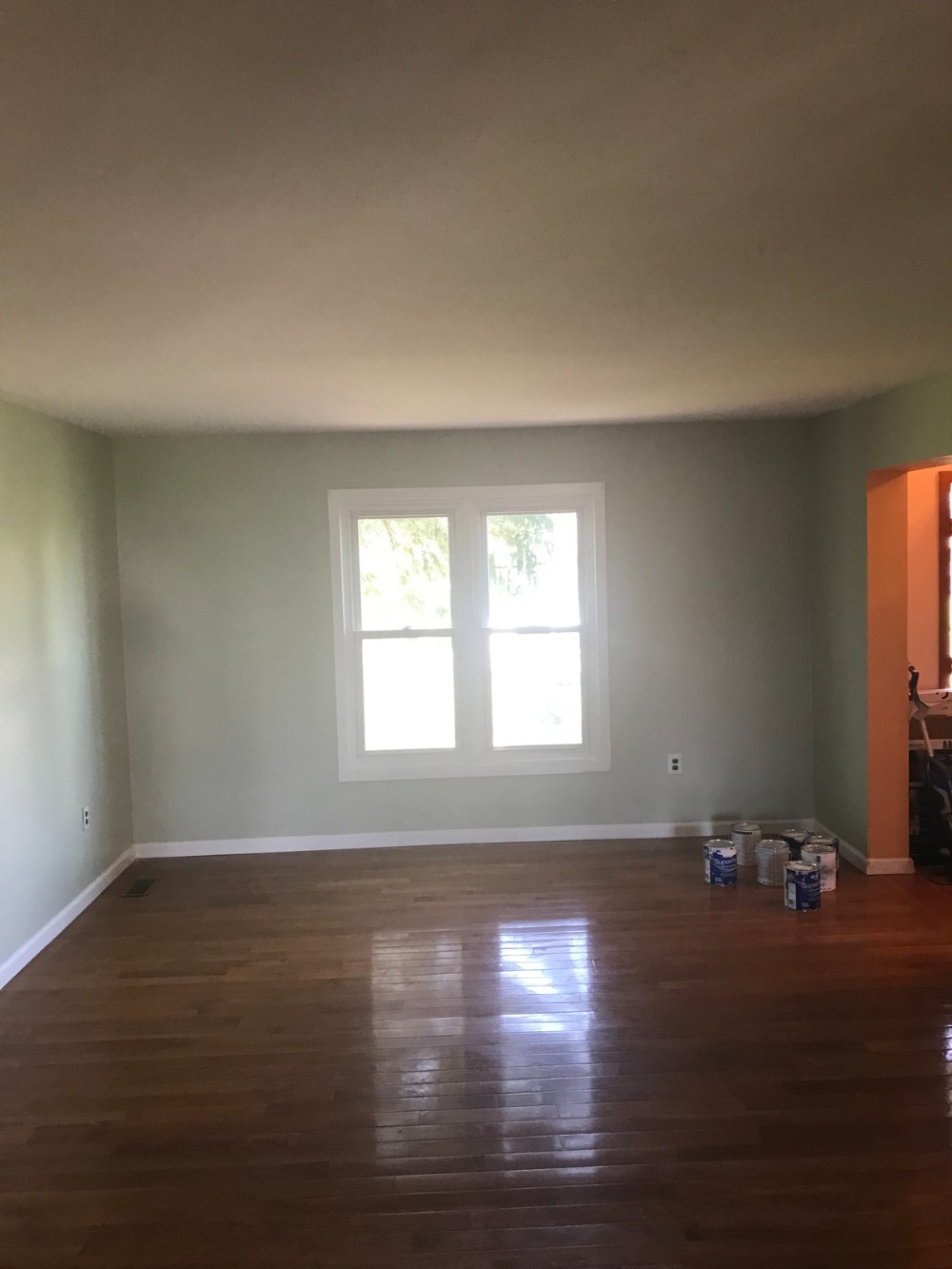 Living Room light green walls and dark stained wood floors