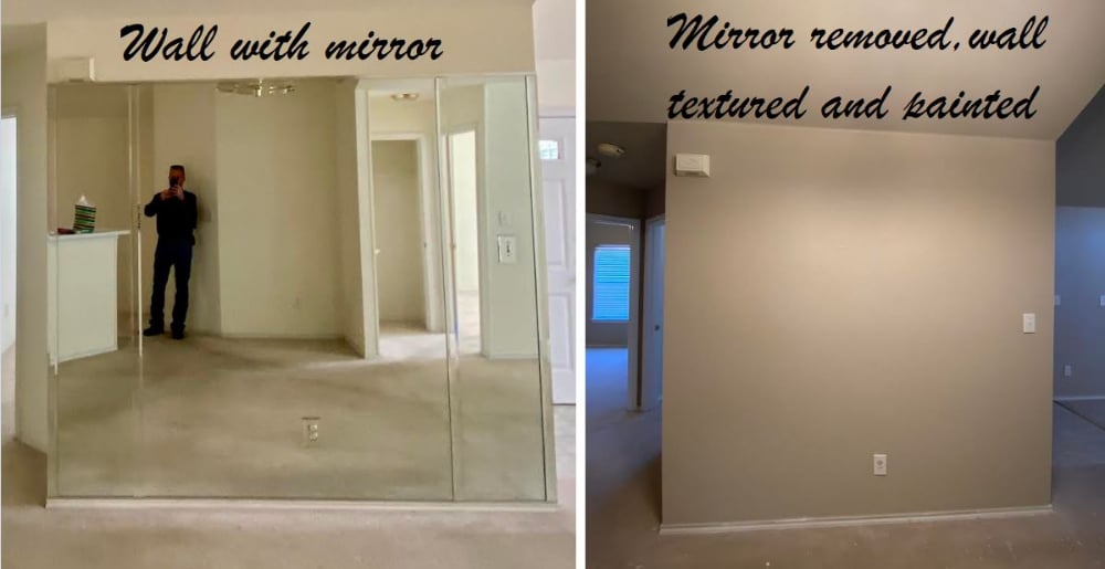 Mirror Removal