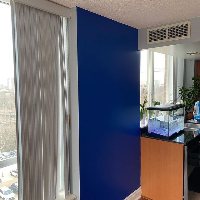 blue wall and a fish tank on a counter