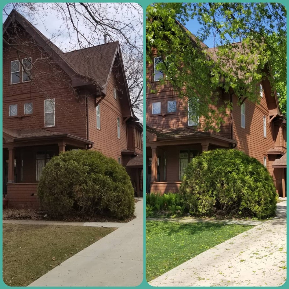 brick home with large bush