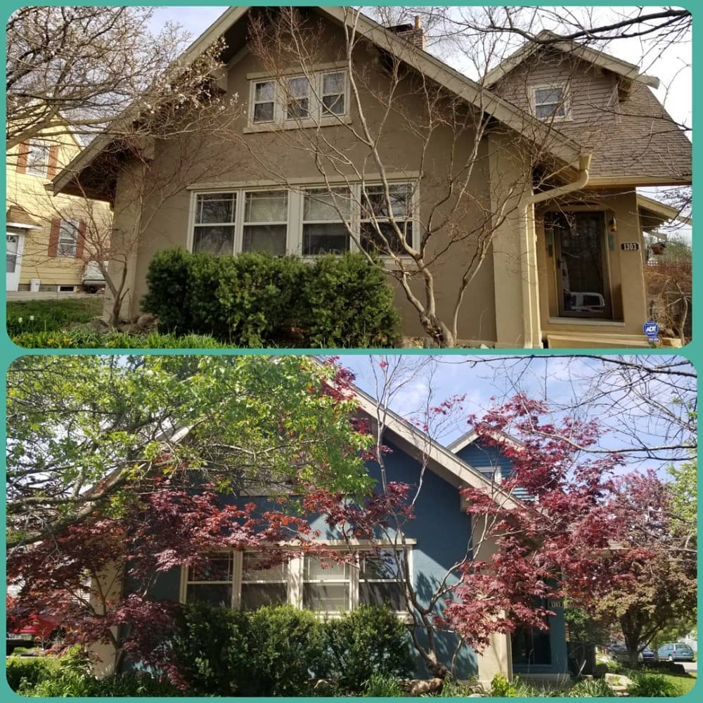 brown home and red tree