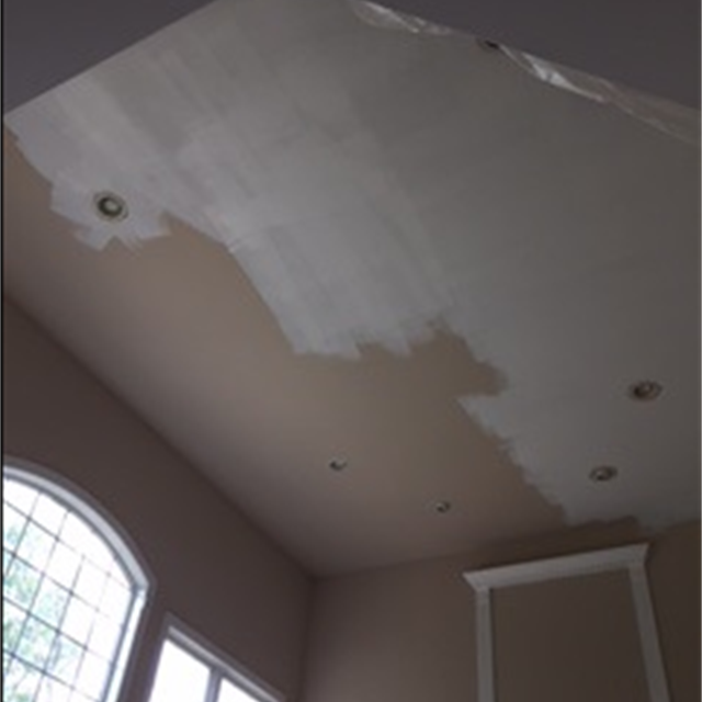 ceiling paint in progress