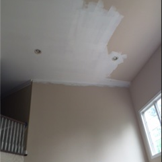 ceiling paint in progress