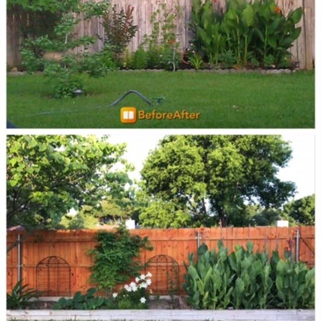 outdoor landscaping