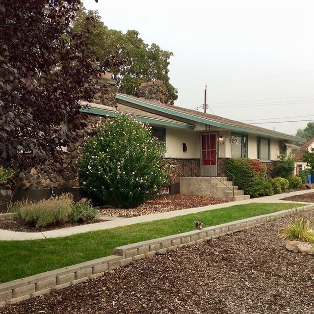 trimmed bushes in front of house