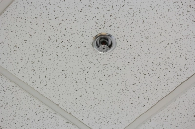 Ceiling Tile with Sprinkler Ceiling Tile with Sprinkler