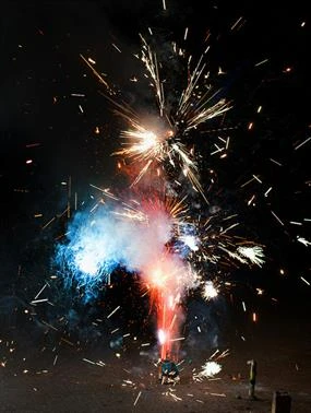Fireworks Photo of a firework exploding in red, white, and blue sparks.