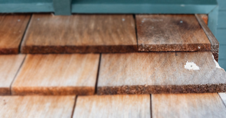 Wood shingles with woodpecker damage