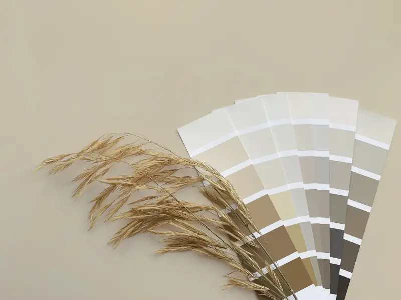 Neutral paint swatches organized by brown and gray colors next to grain.
