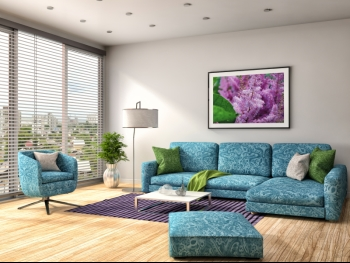 Blue Ikat Couch in Living Room Blue Ikat Couch in Living Room